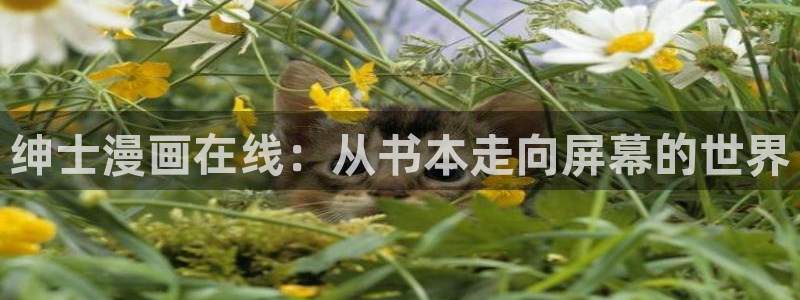 汗汗漫画家教老师