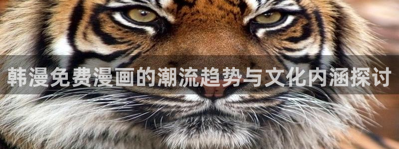 汗汗漫画首页登录